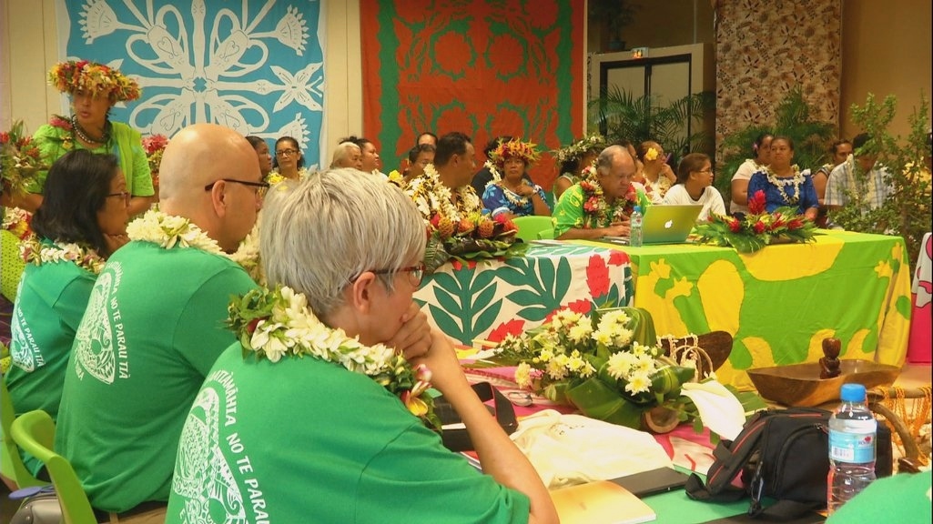 02052018 conseil tahiti reunion